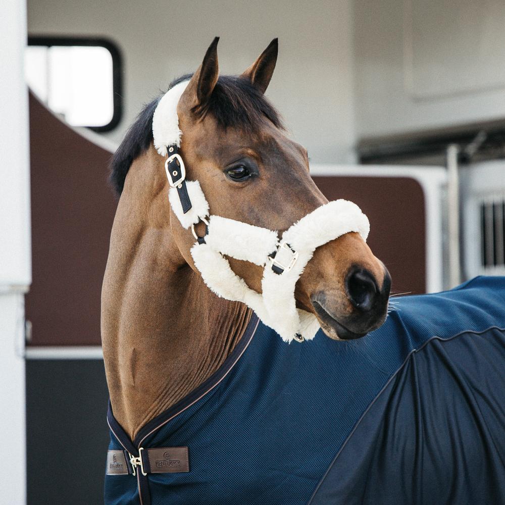 Sheepskin Shipping Halter